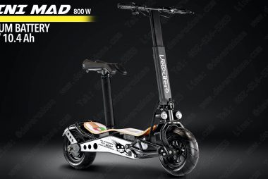 mini MAD 800W